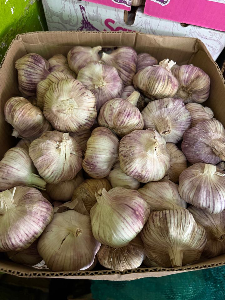 Ajo fresco