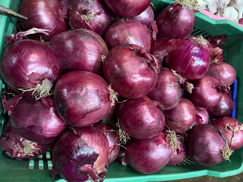 Cebolla morada