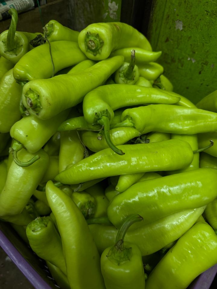 Chile húngaro