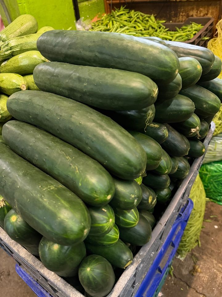 Pepino
