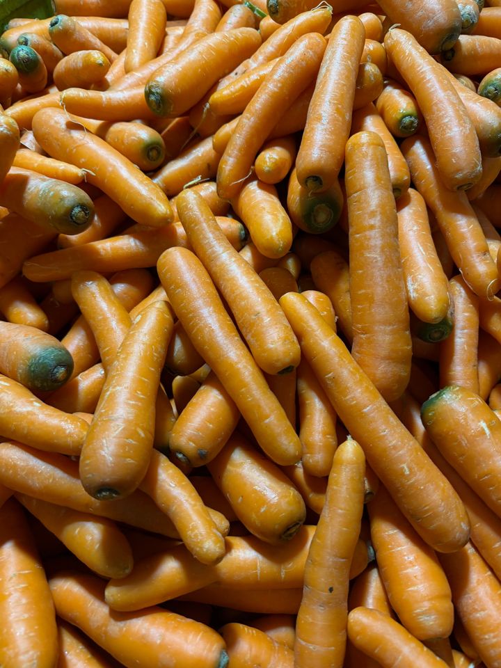 Zanahorias frescas